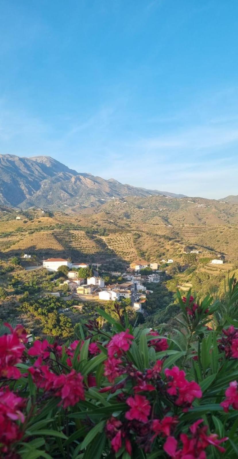 La Vista Vinuela Bed & Breakfast Bagian luar foto